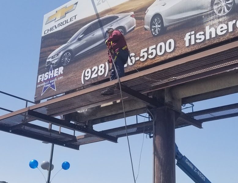 Advocate Pest & Wildlife Specialists