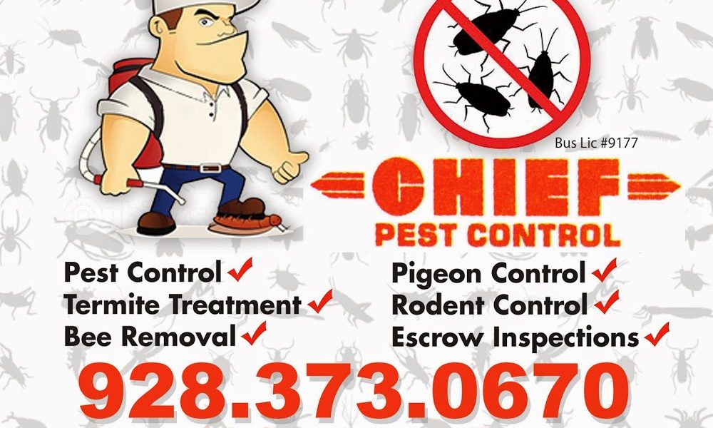Chief Pest Control